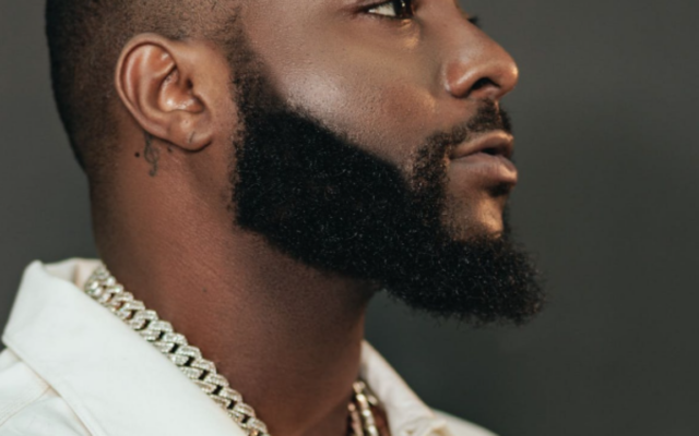 Davido Confirms Mayorkun, Llona and FOLA on Oriade Album