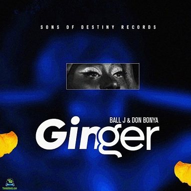 Don Bonya – Ginger (ft. Ball J)