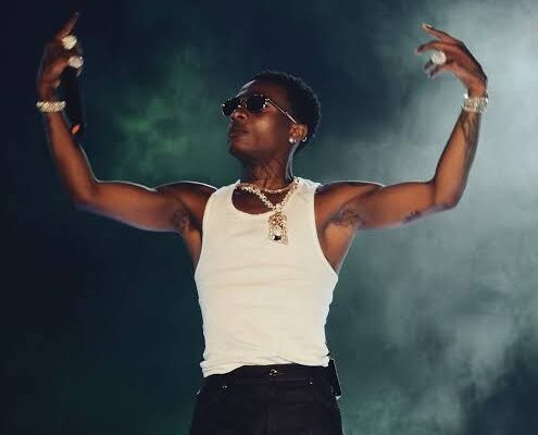Burna Boy, Wizkid, Asake, Olamide Shine at Afro Nation 2026
