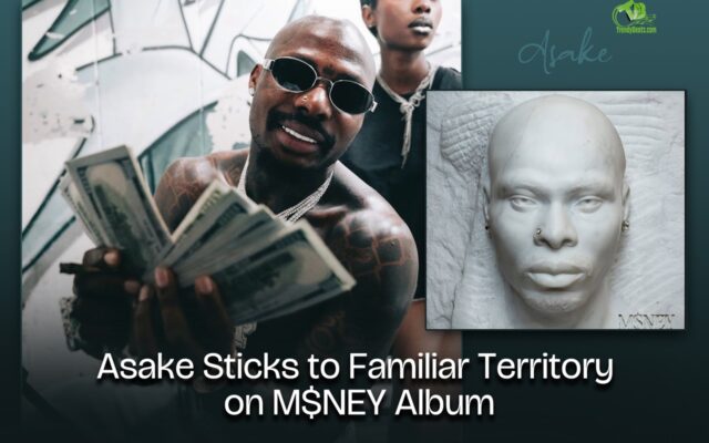 Asake Plays It Safe on New M$NEY Album, Critics Say